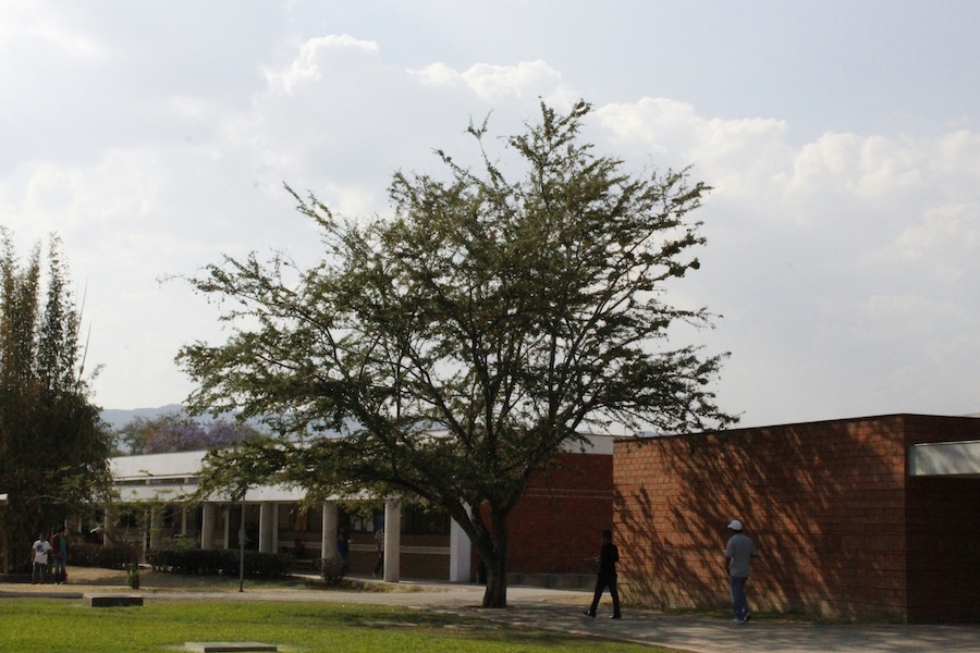 Security Film Is a Smart Investment for Texas Schools