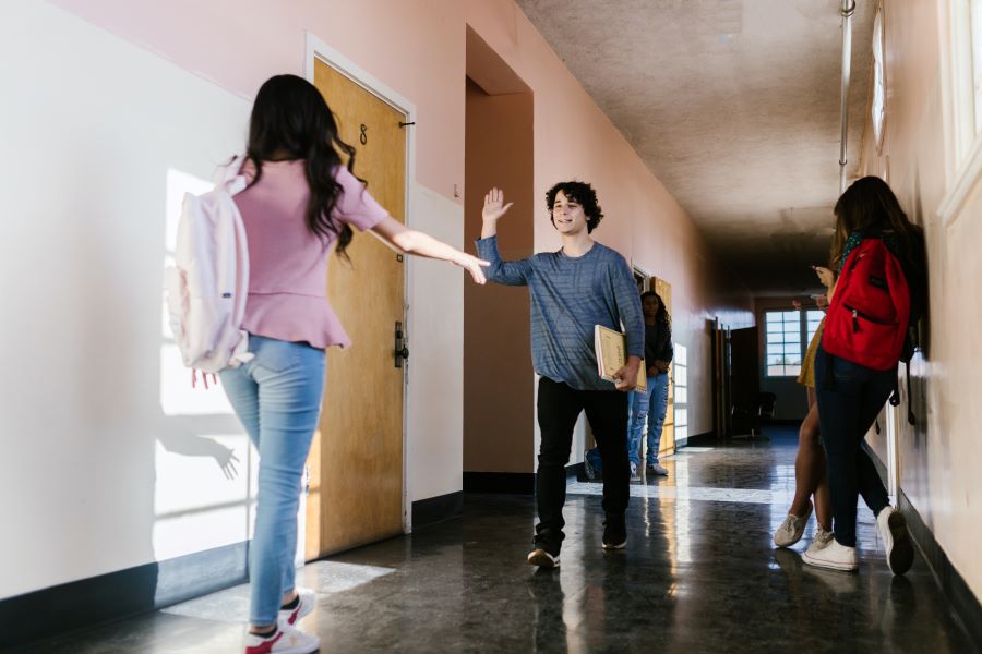 How Do School Intrusion Detection Systems Work?