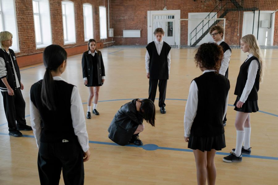 School Security and the Use of Proprietary Video Analytics